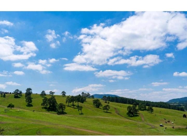 Avantura Studio 1 Zlatibor Esterno foto