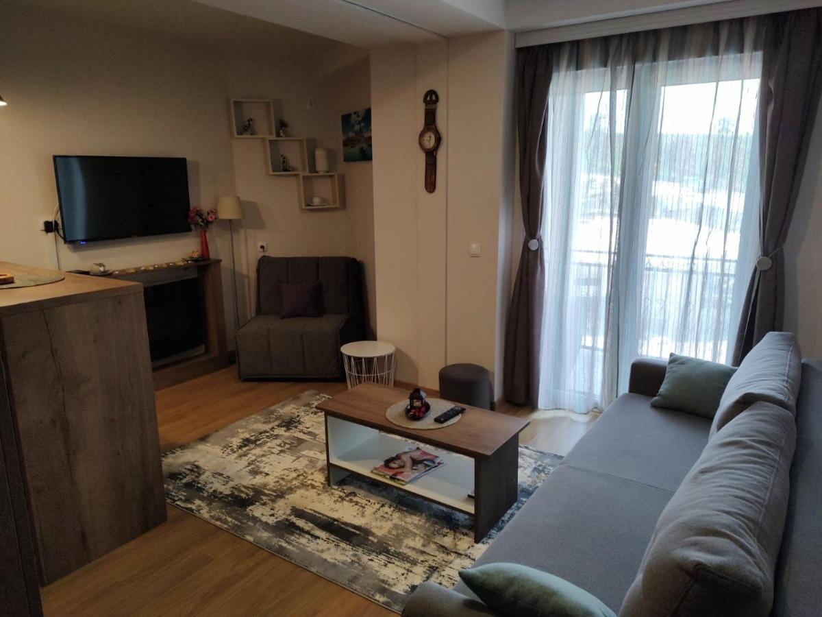 Avantura Studio 1 Zlatibor Esterno foto